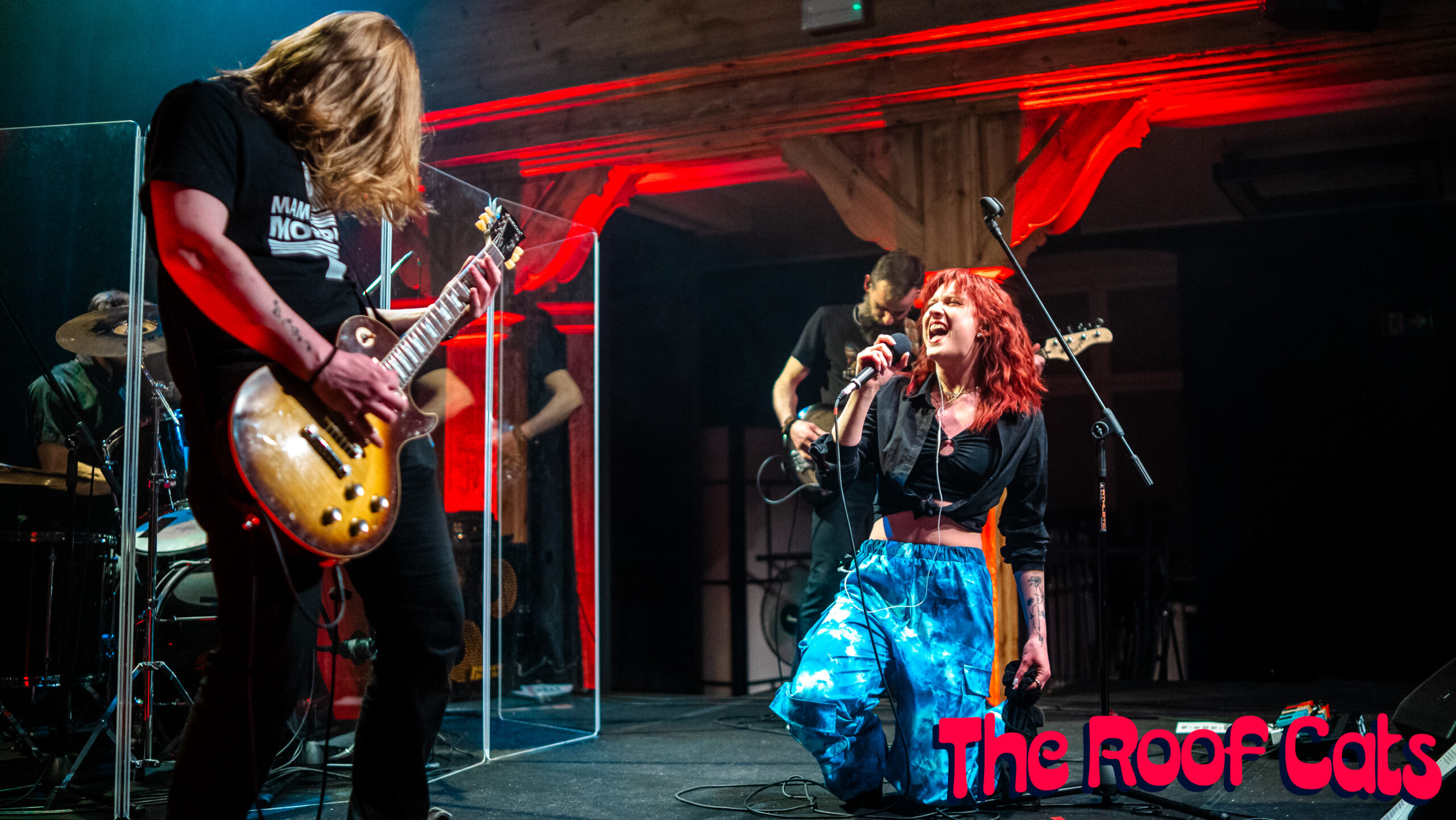 Koncert The Roof Cats | mollDur fest
